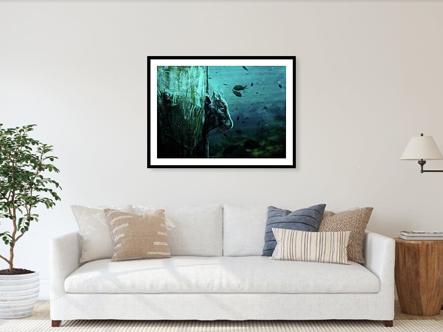 Stampa ambientata, Toretto 2 sommerso